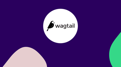 wagtail_1_HVE2fbC.png
